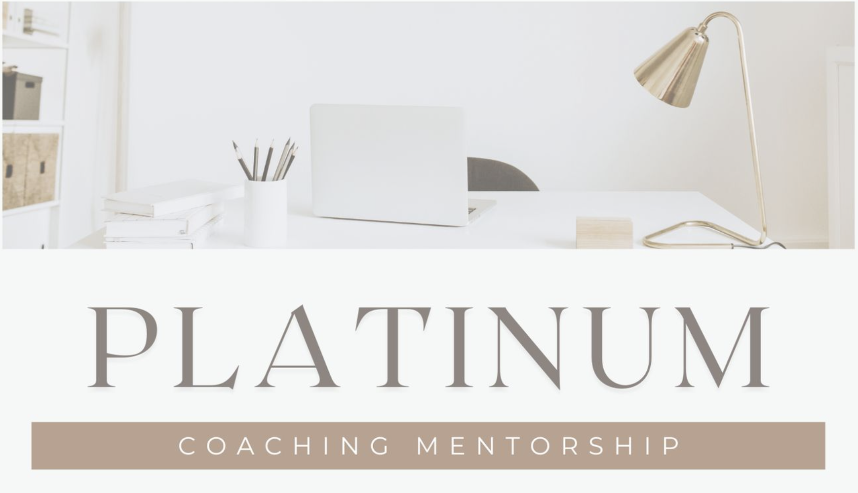 Platinum Coaching Mentorship