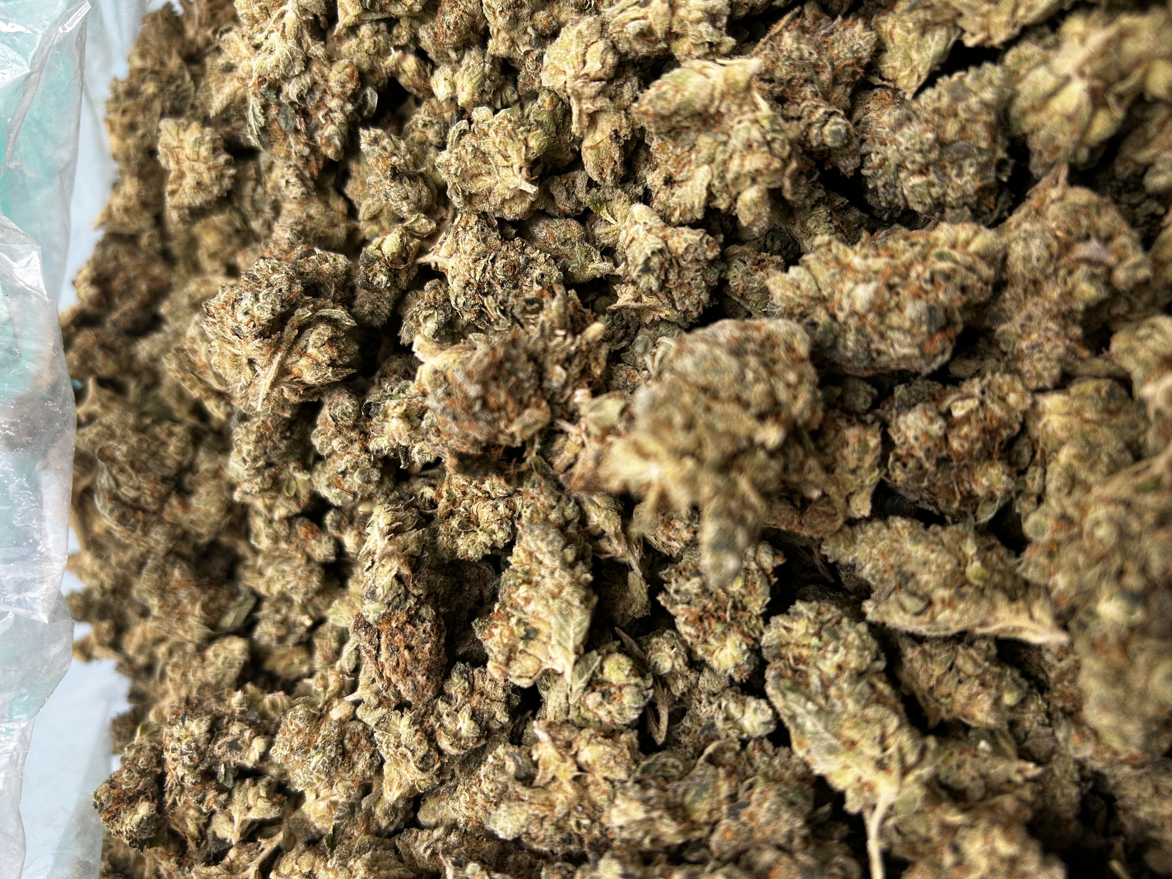 Green Sherbet