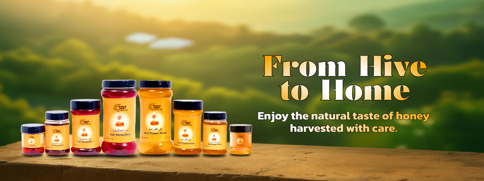 Amigo’s Honey Health Guide