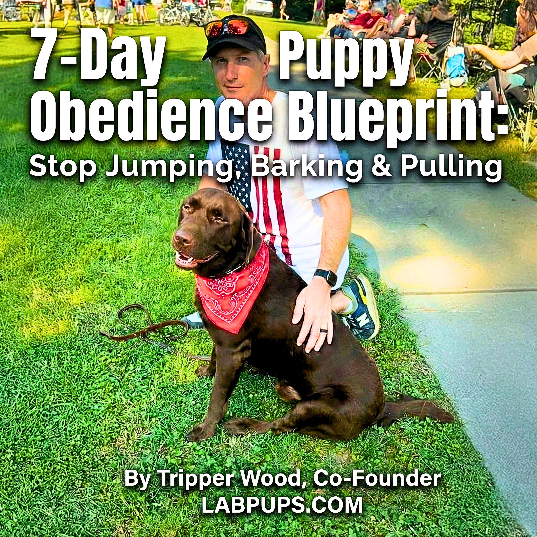 7-Day Puppy Training Blueprint