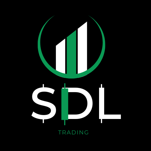 Pro 1:1 Mentorship SDL