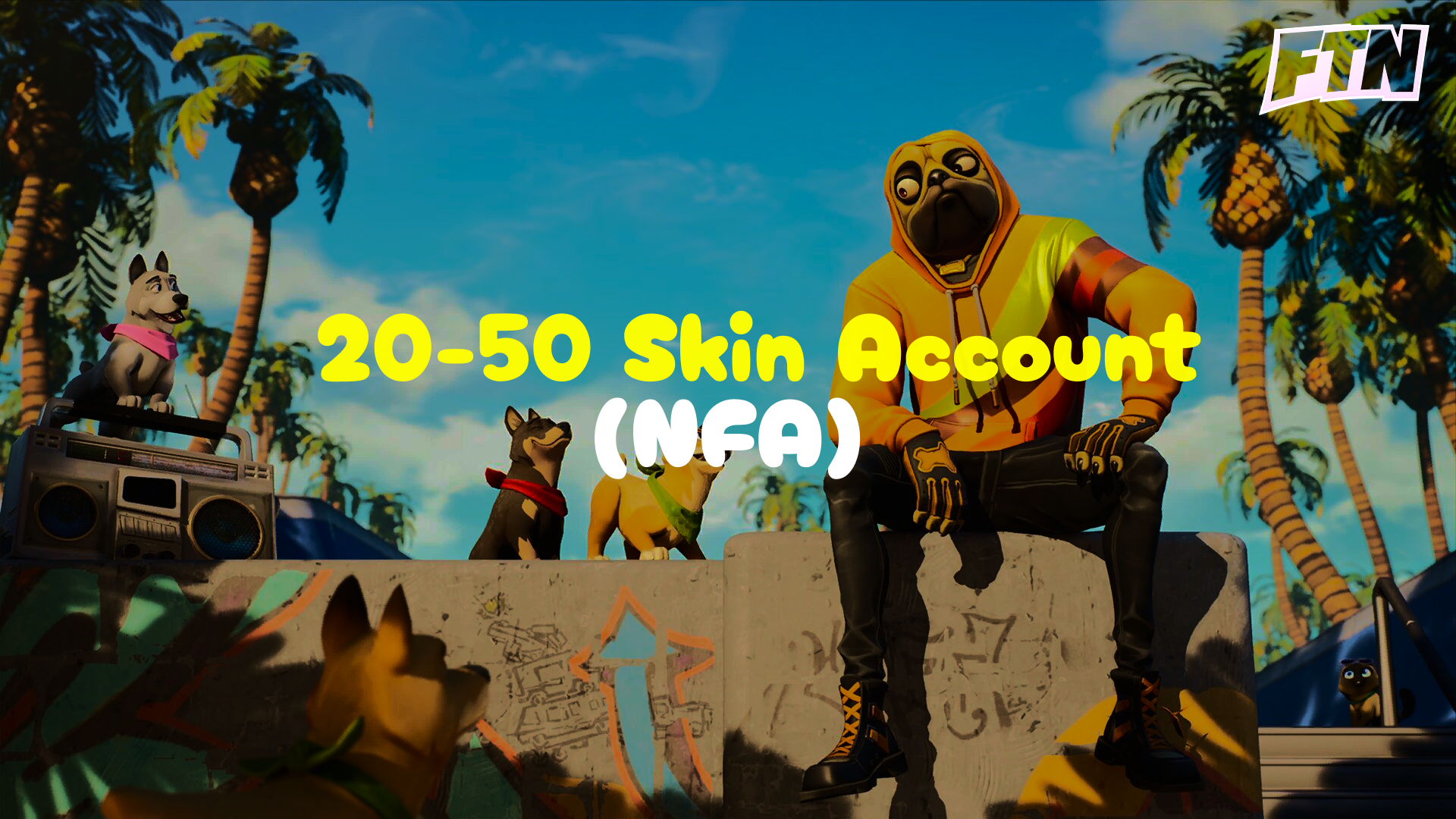 20-50 Skin Fortnite Account