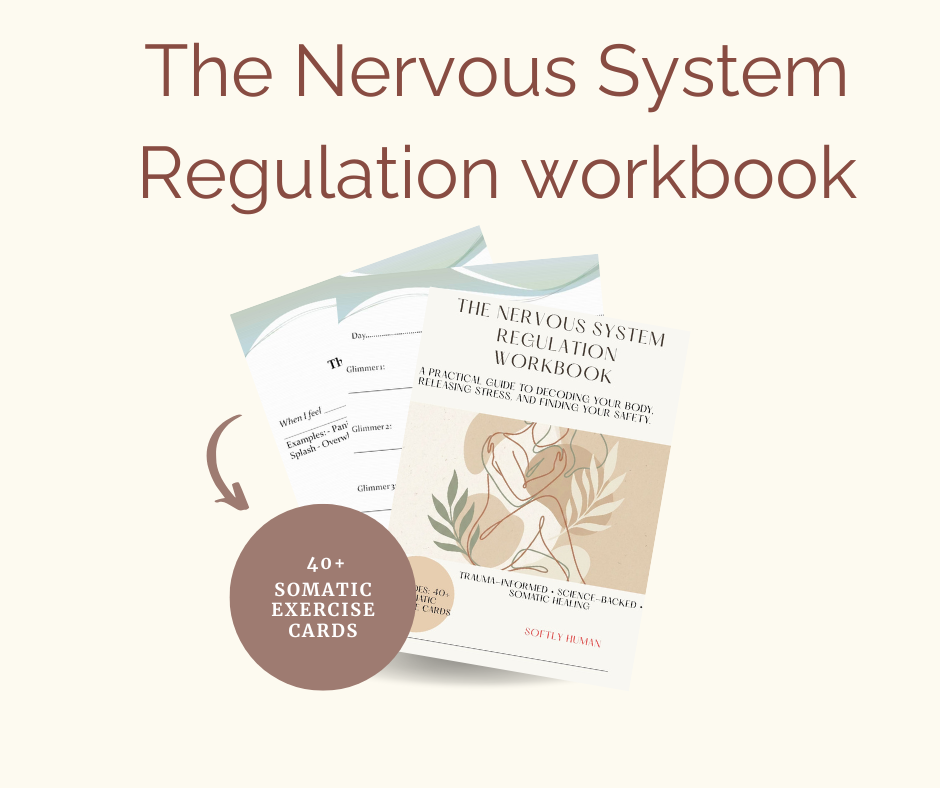 The Nervous System Regulation 