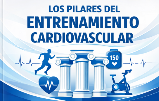 Entrenamiento Cardiovascular