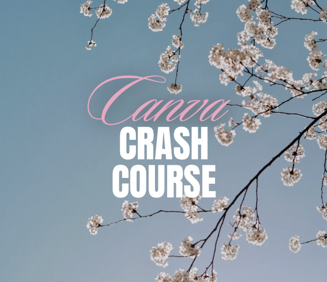 Canva Beginner's Crash Course