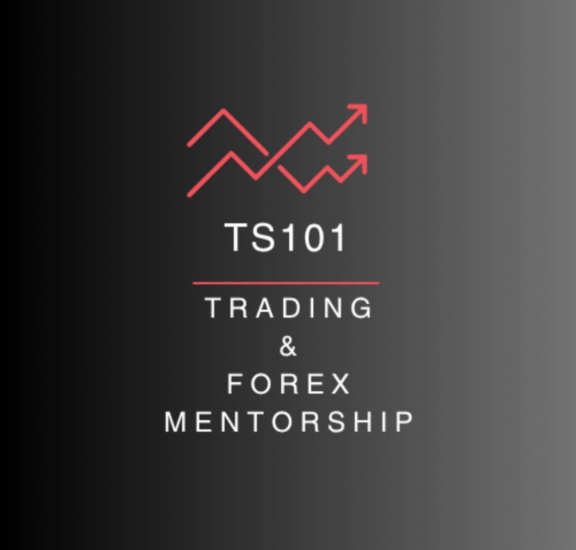 TradingSchool101 - Beginners 