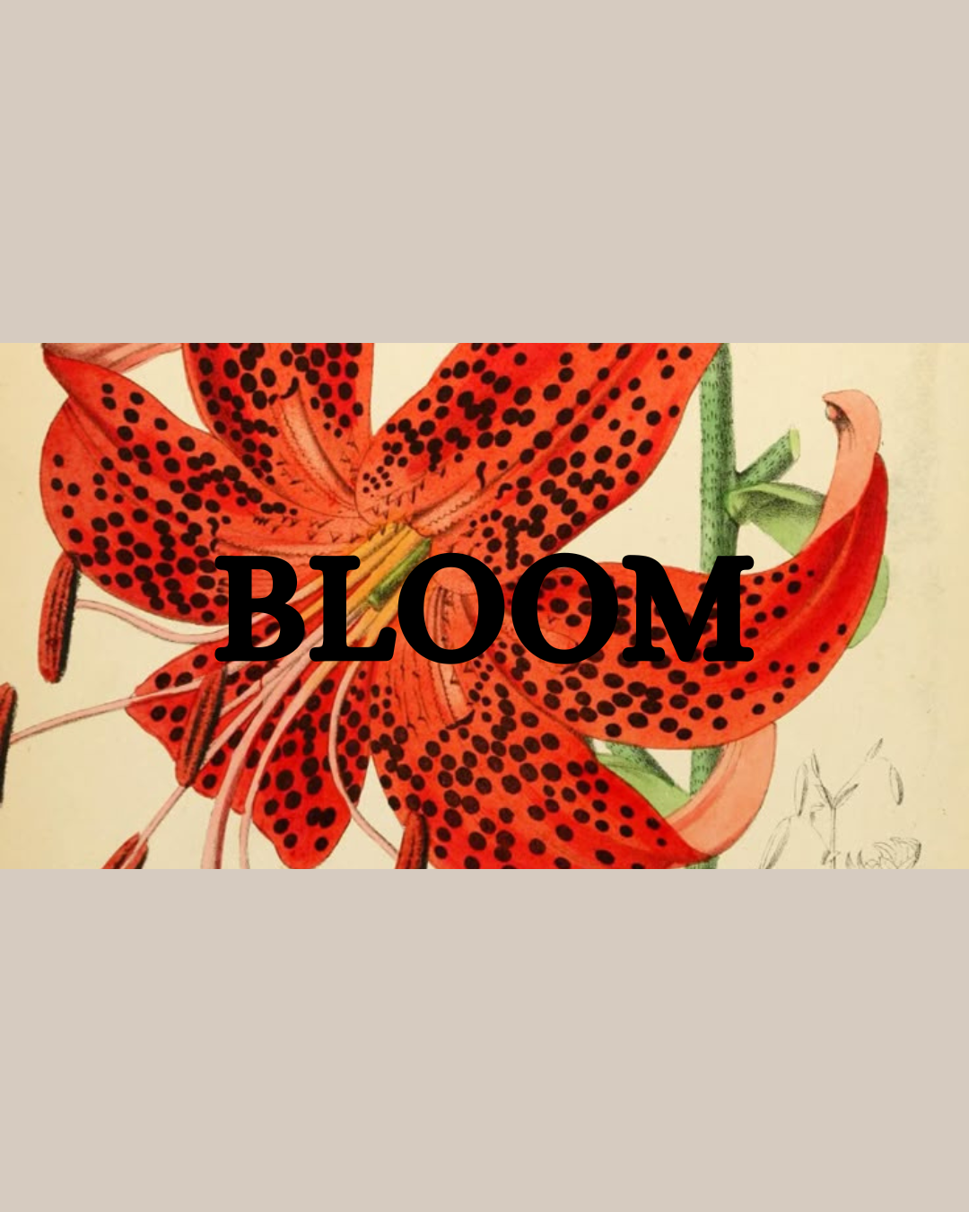 BLOOM