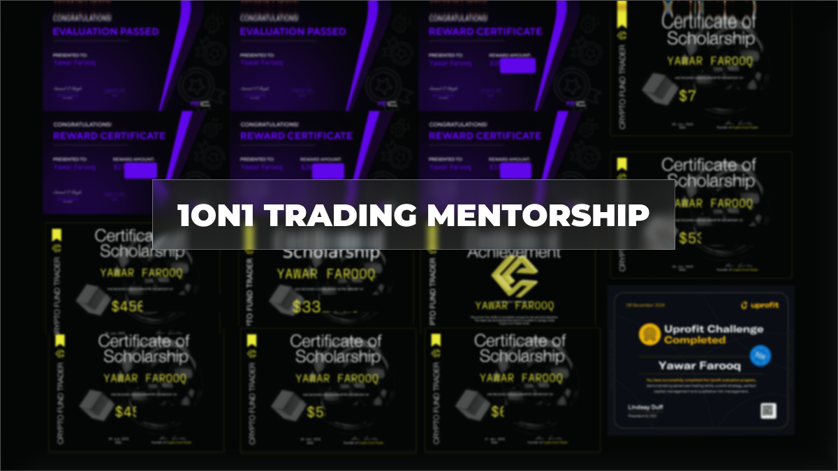 1on1 Trading Mentorship