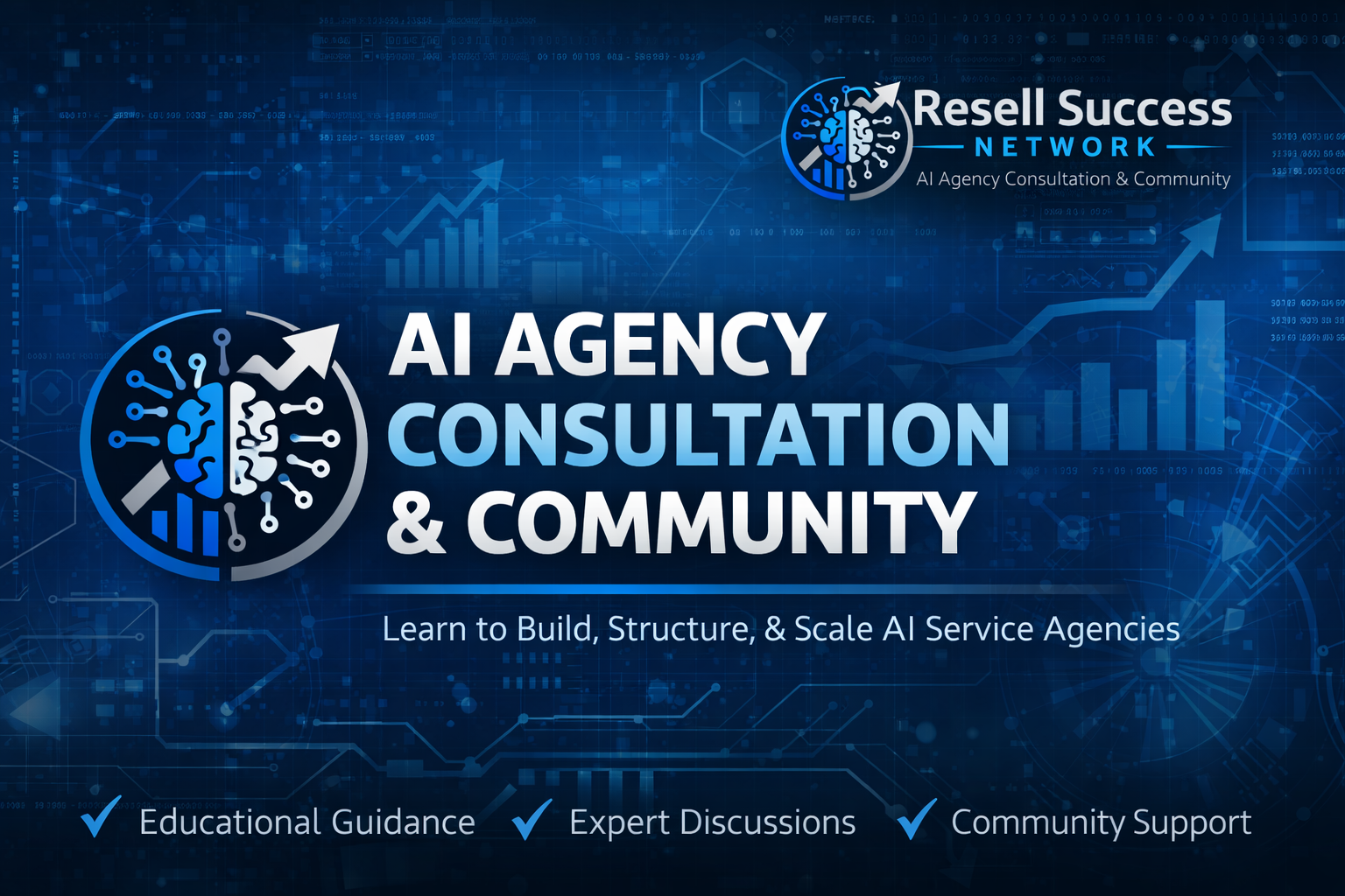 AI Agency Consultation 