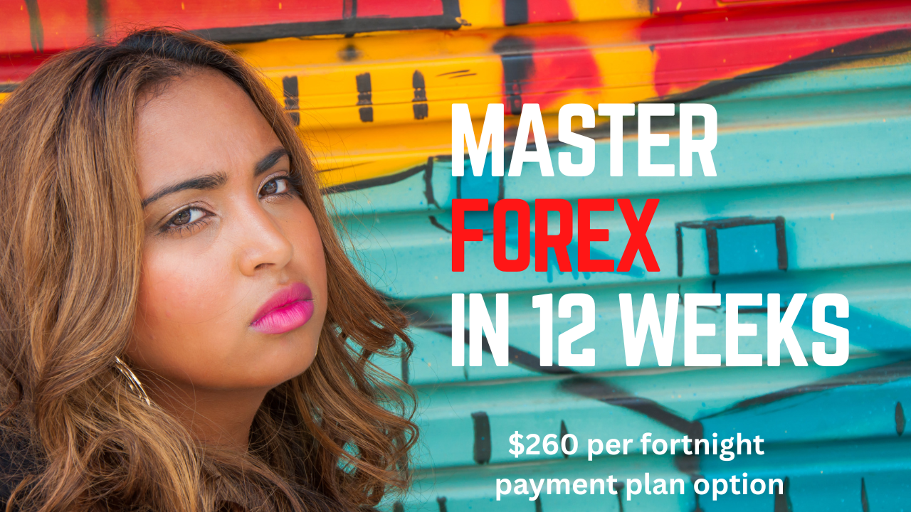 Master Forex in 12 Weeks — Fortnightly Plan