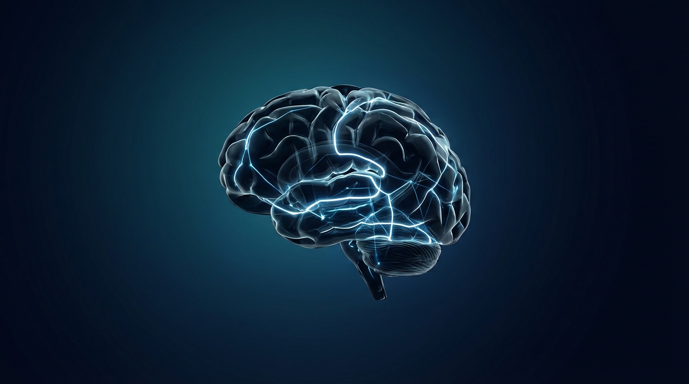 MindMaxing Program