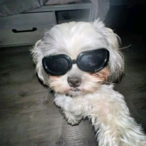 Drei