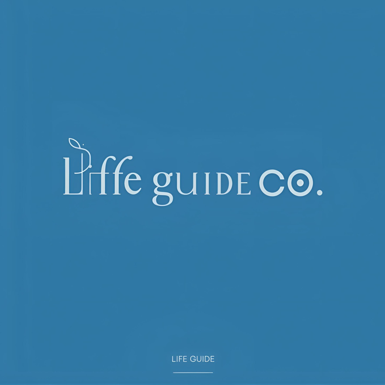 Life Guide Co
