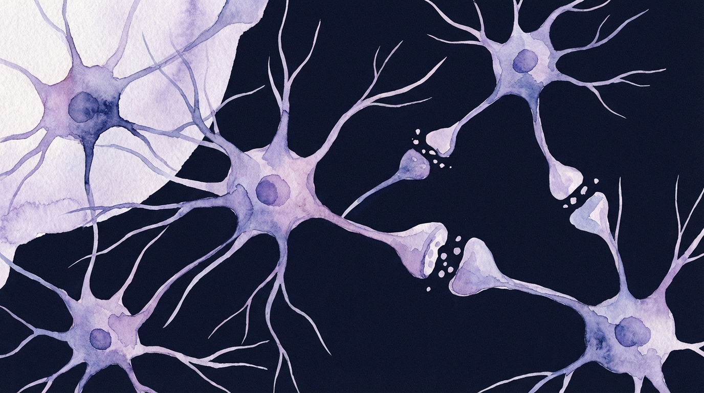 Brainframe Newsletter