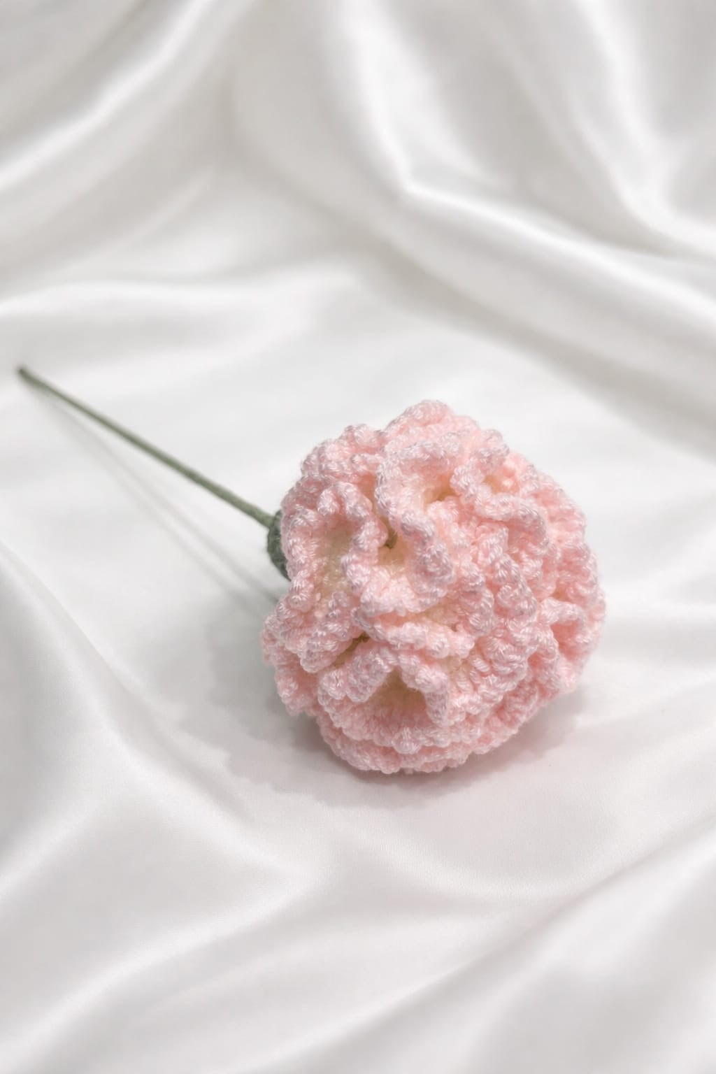 🌺 Carnation — Pink