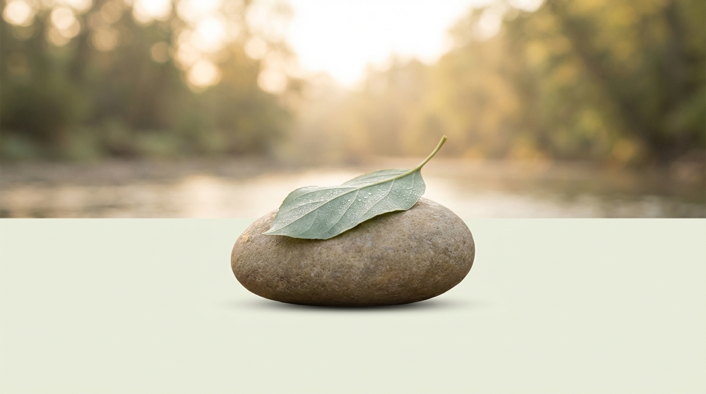 The Holistic Health Blueprint