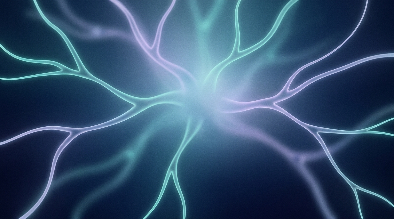 Mindframe Newsletter