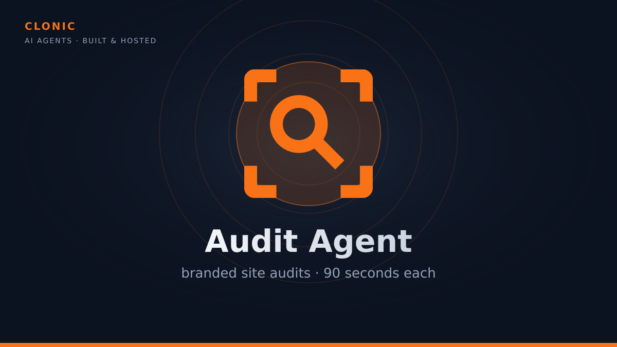 Audit Agent