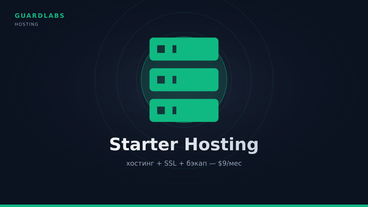 Starter Hosting