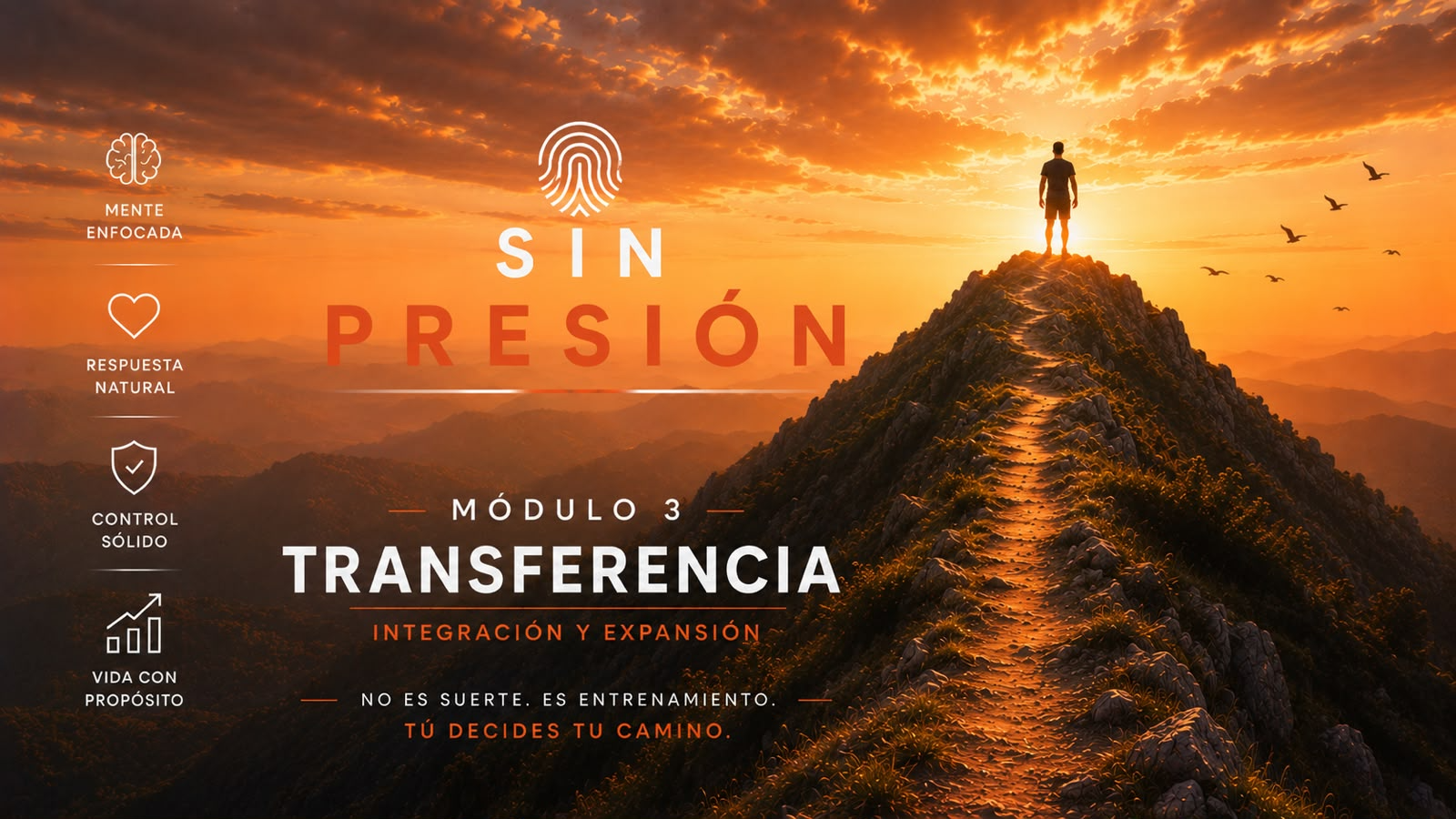 Sin Presion - Modulo 3