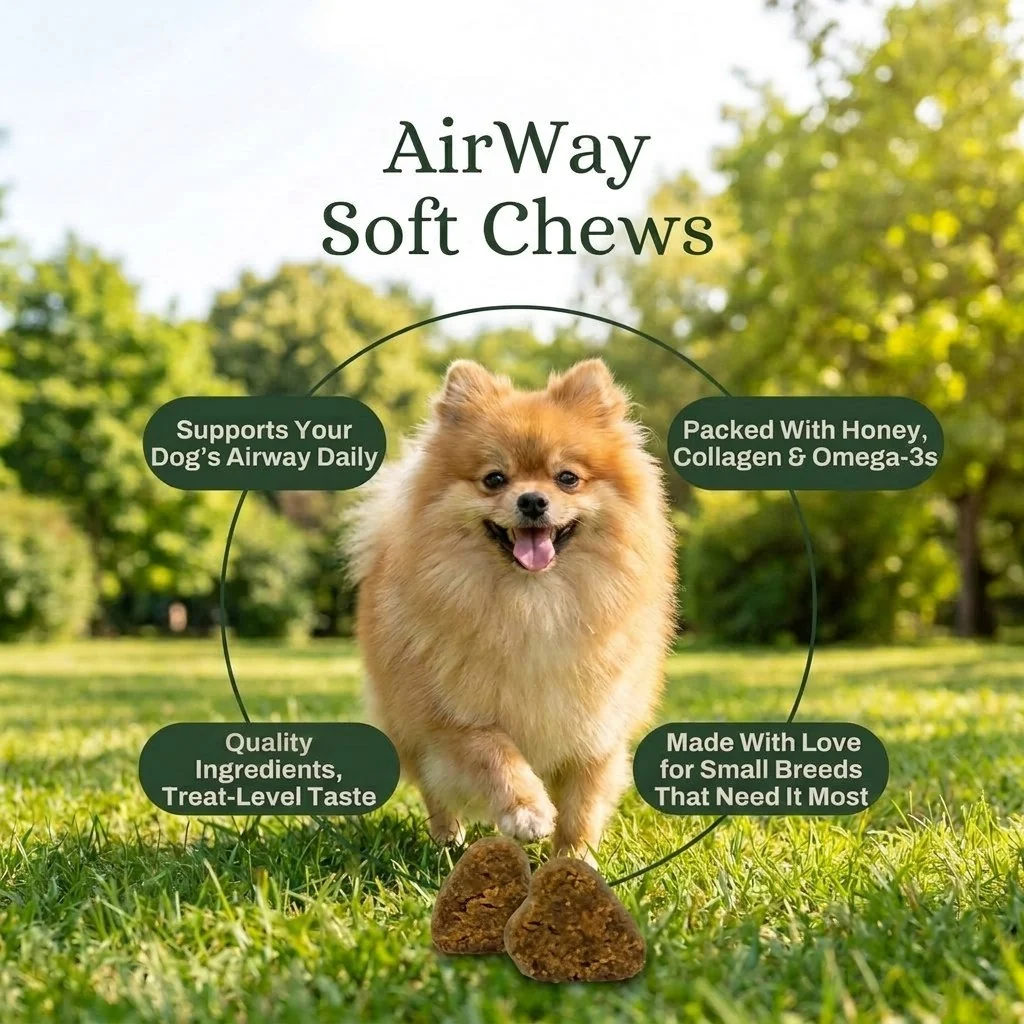 Airway Support Chews — image 2 of 7