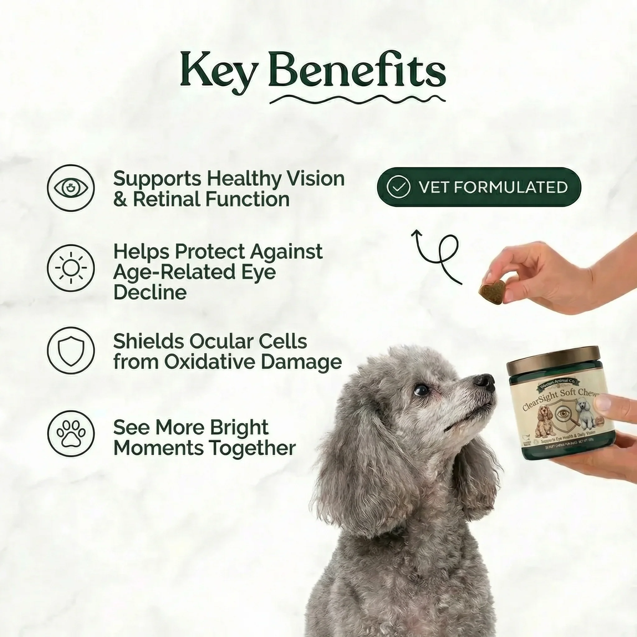 Daily Vision Support for Senior Dogs — image 3 of 8