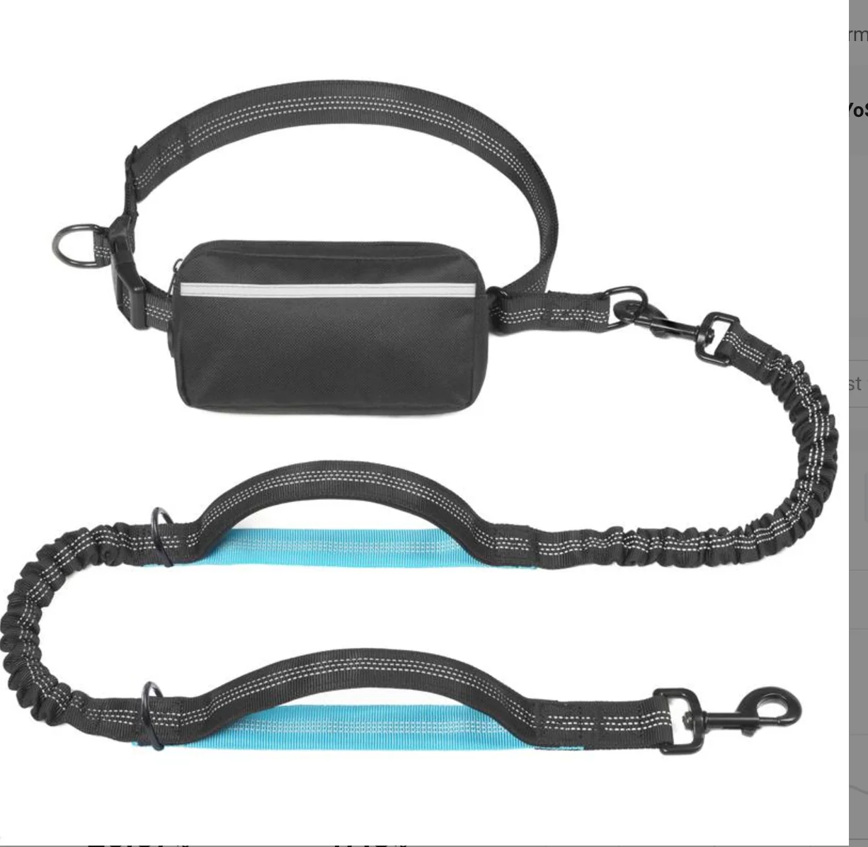 Ryken Hands Free Dog Leash