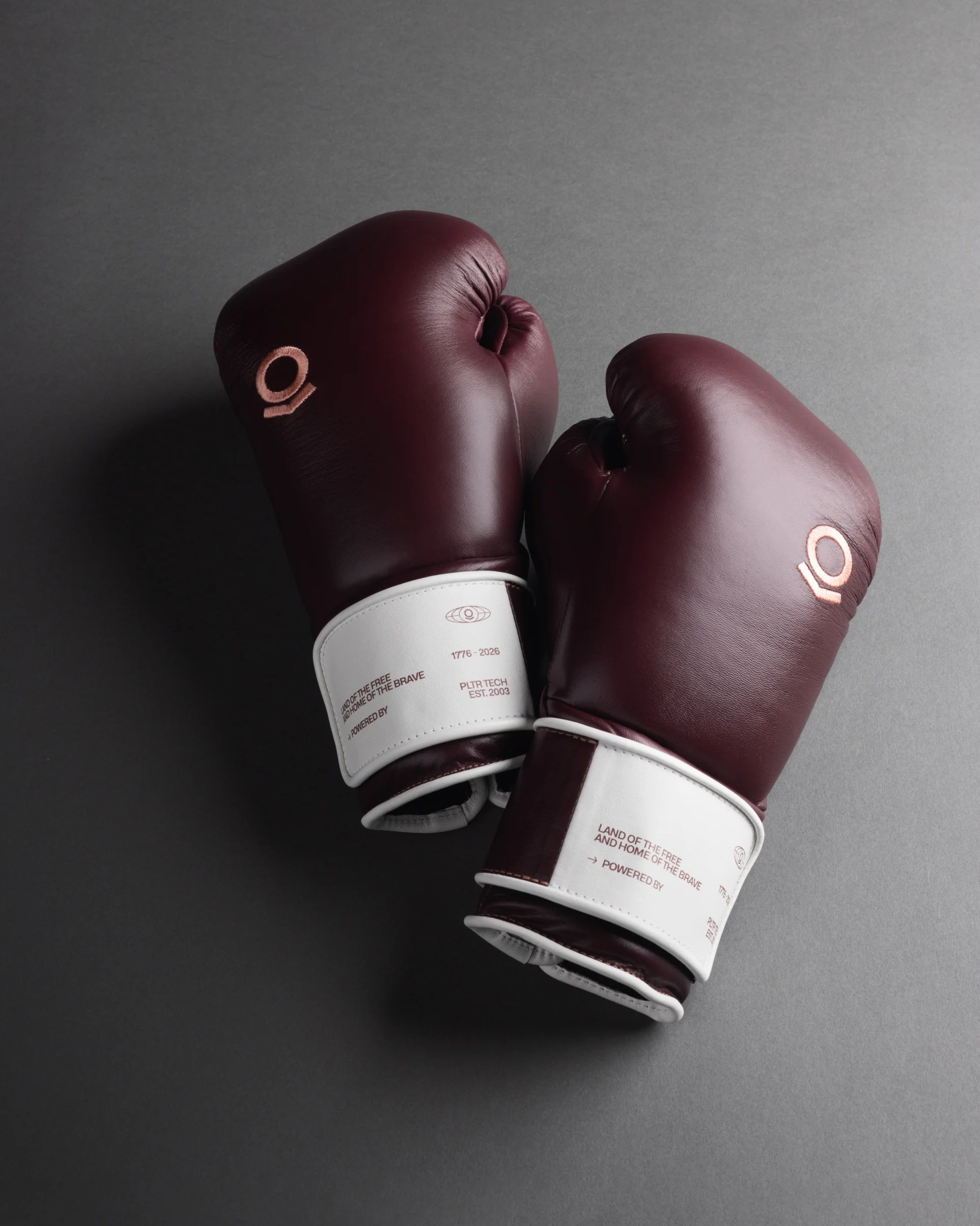 PALANTIR BARRIC USA 250 BOXING GLOVES