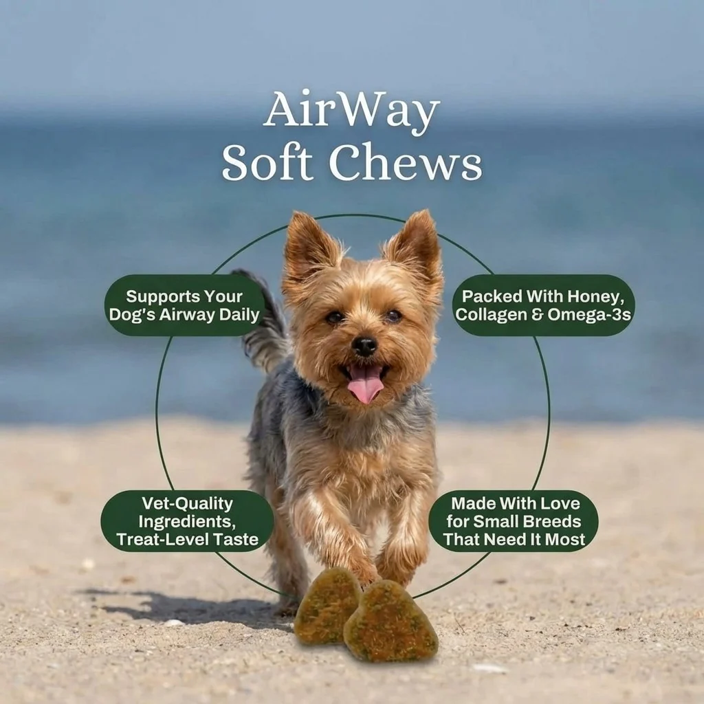 Airway Support Soft Chews for Small Breeds — image 3 of 8
