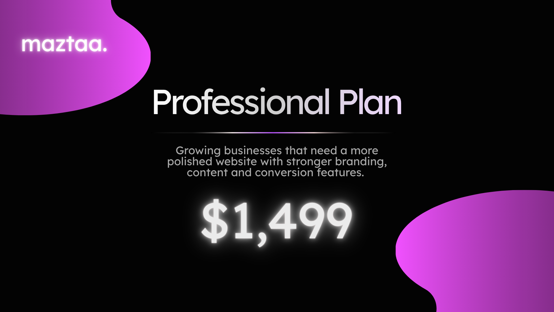 Professional Plan