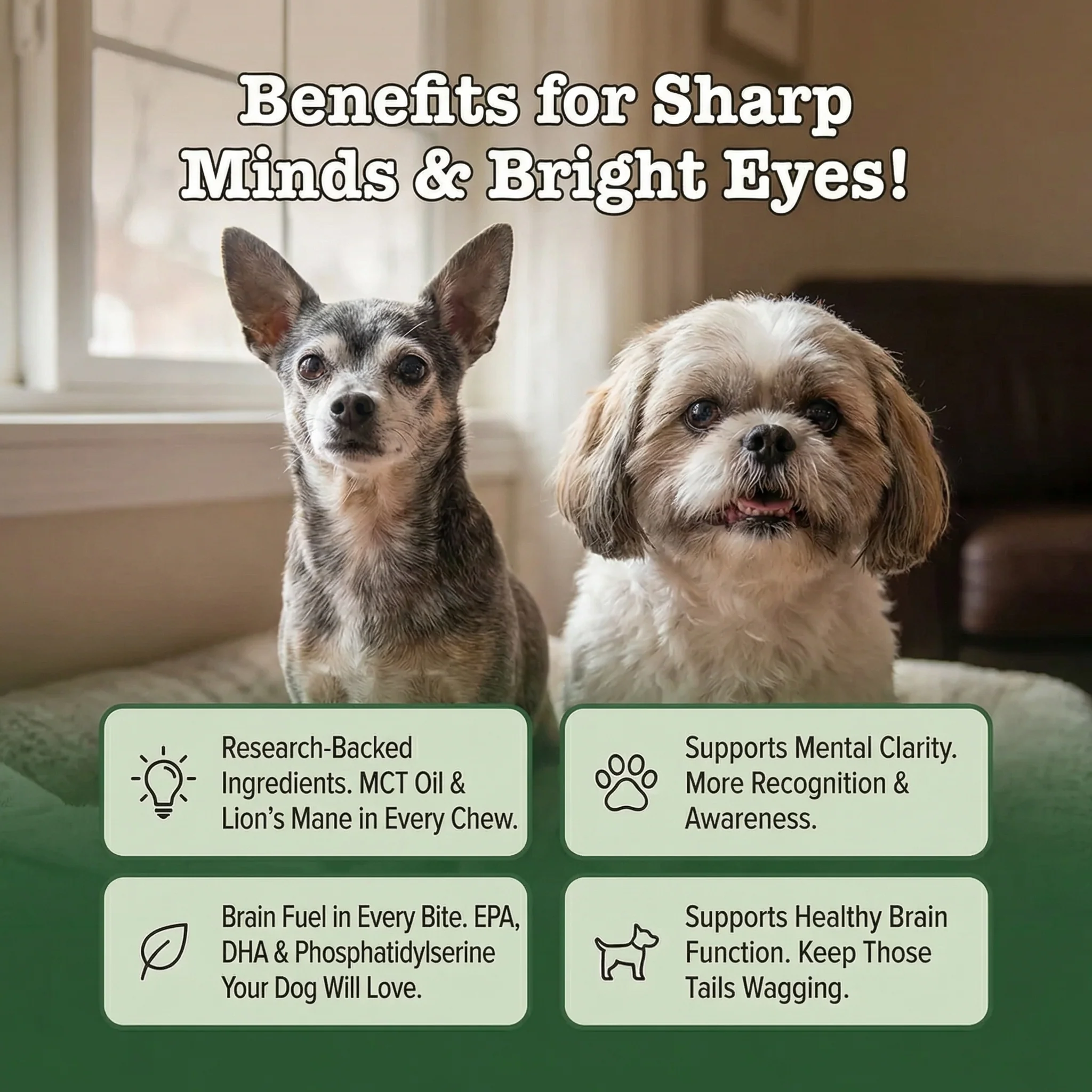 Wise Minds Soft Chews — image 4 of 8