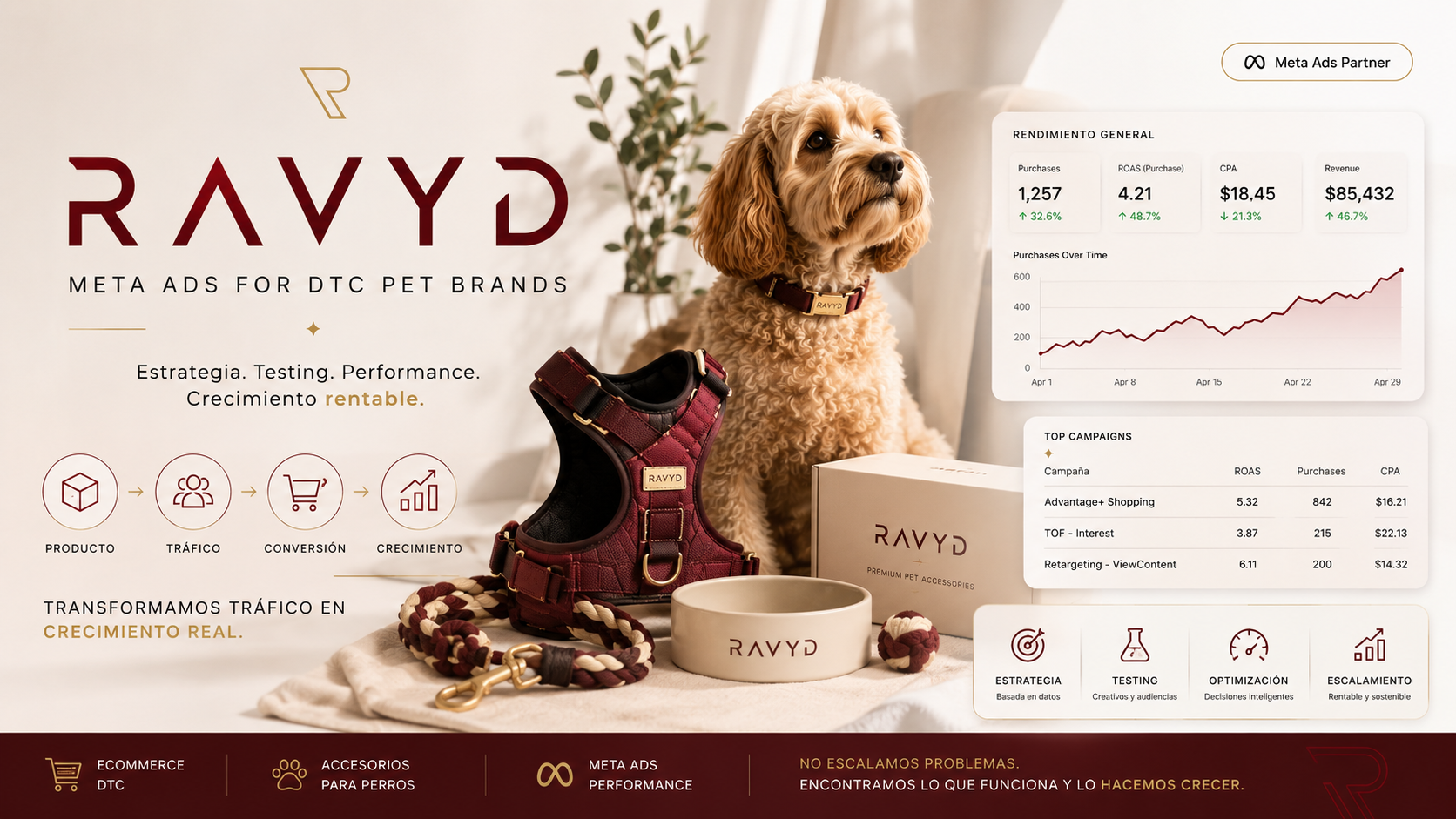 RAVYD Scale — Adquisición y Optimización para Tiendas Digitales