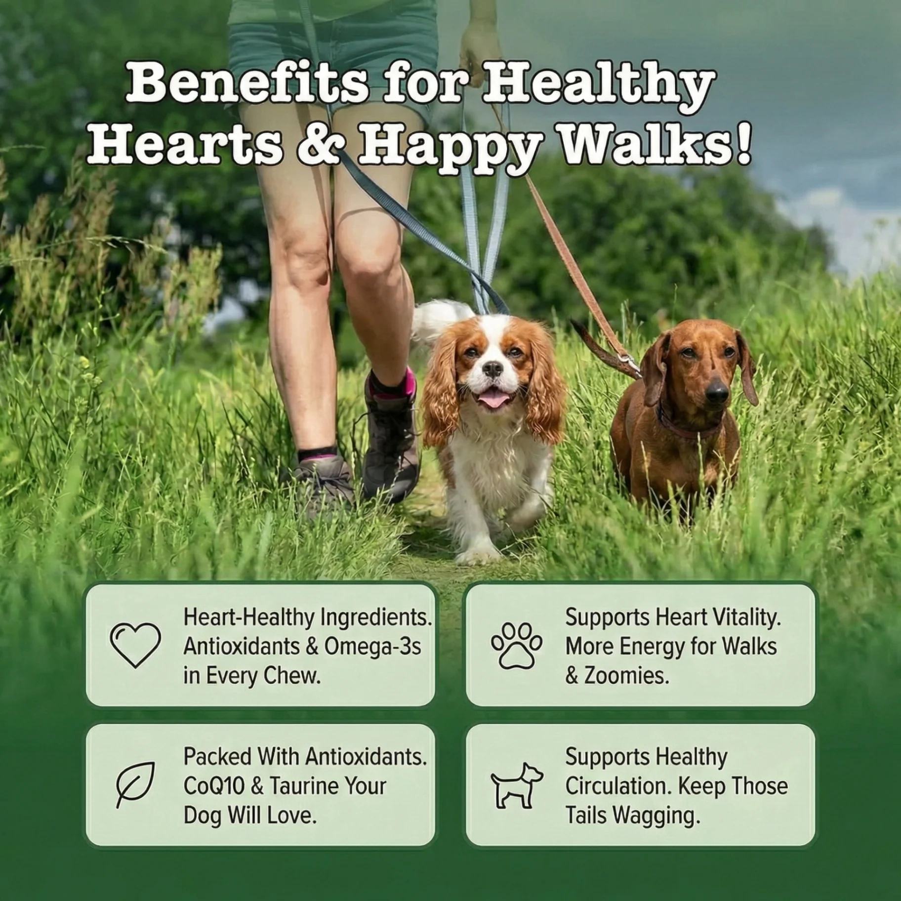 Happy Heart Daily Support Soft Chews — image 5 of 8