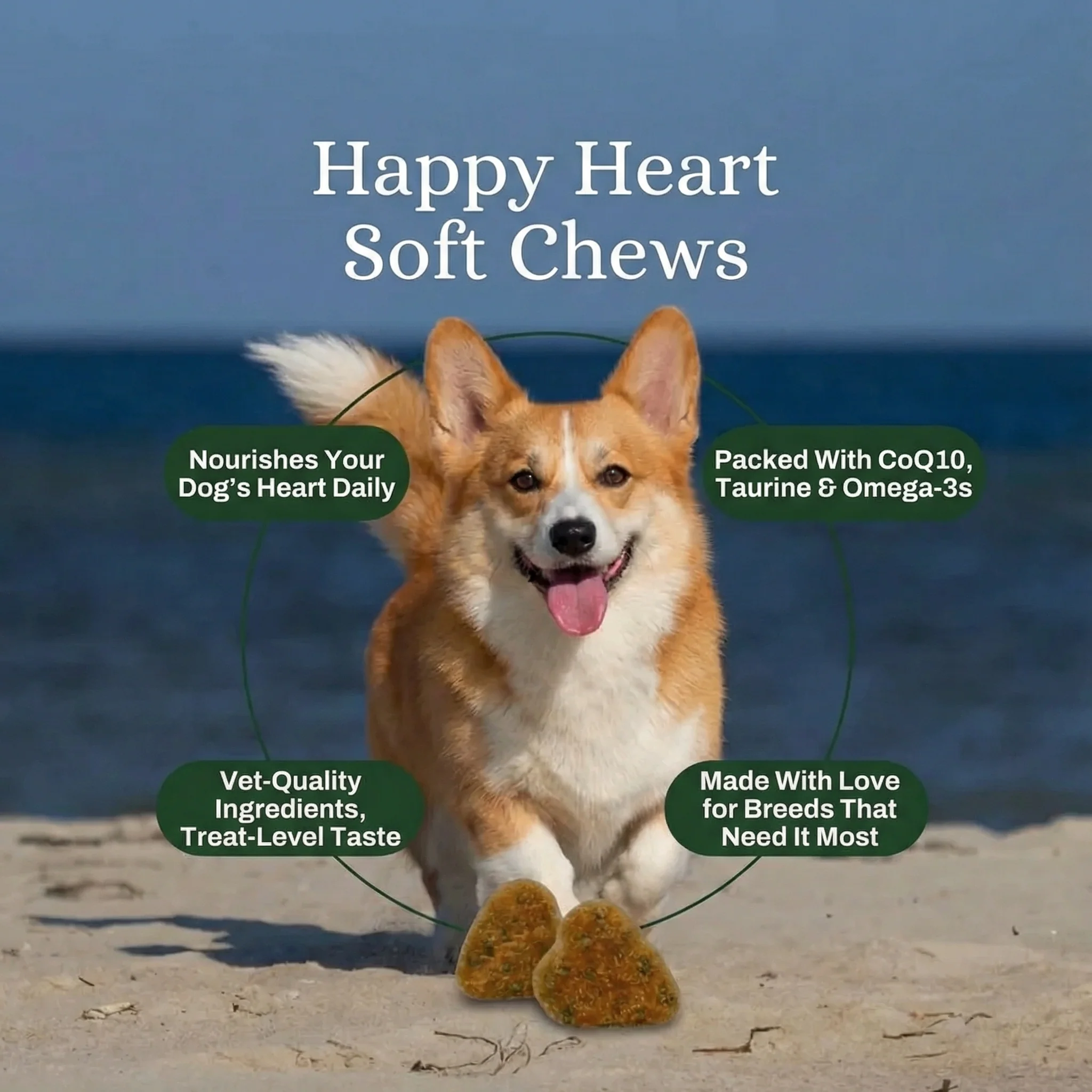 Happy Heart Daily Support Soft Chews — image 6 of 8
