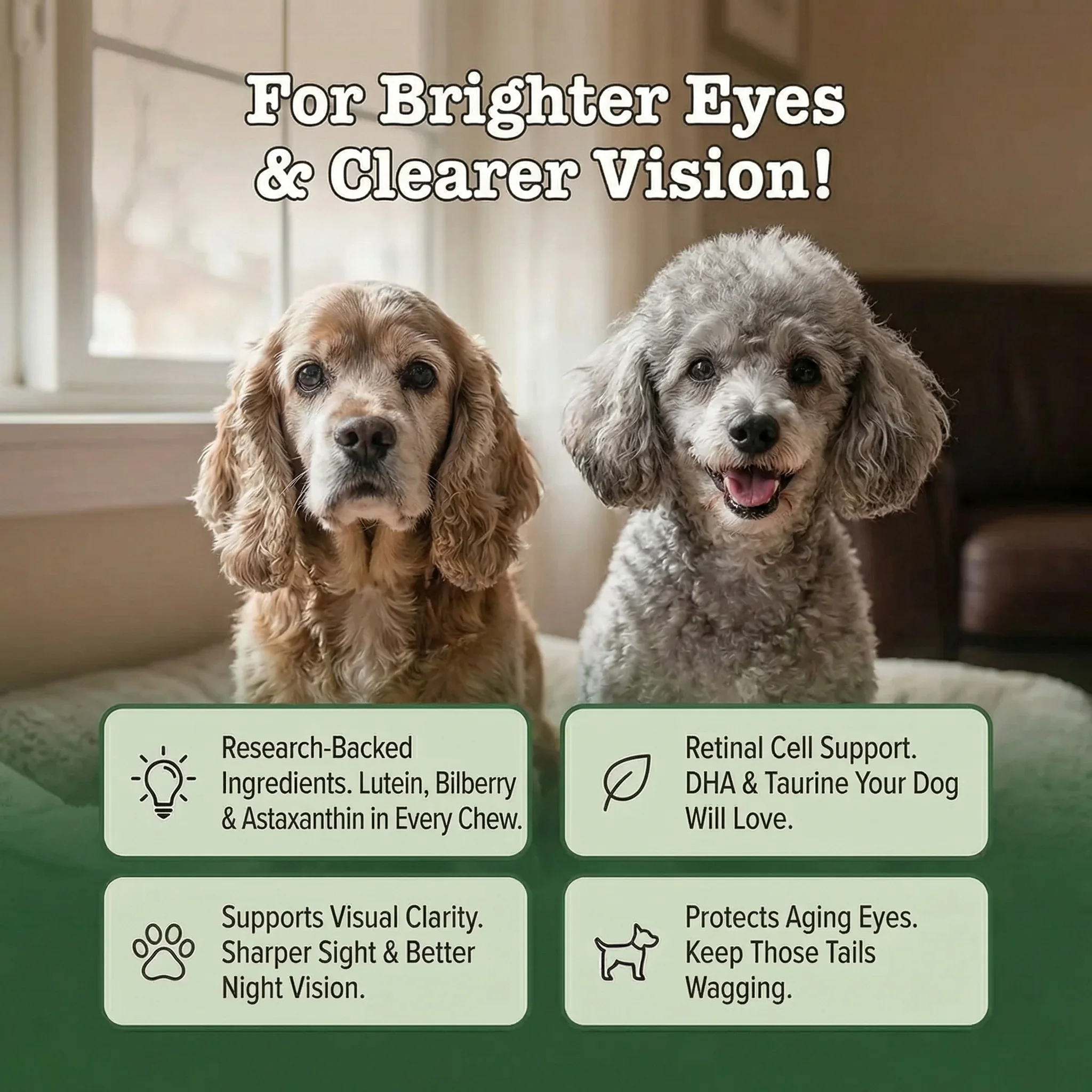 Daily Vision Support for Senior Dogs — image 5 of 8