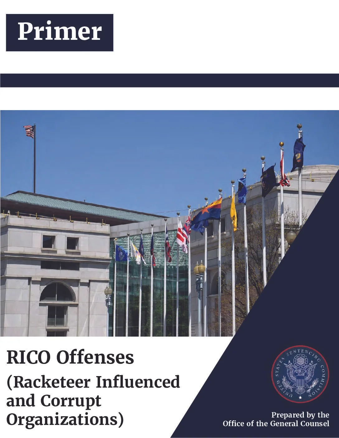 FEDERAL PROSECUTOR RICO MANUAL