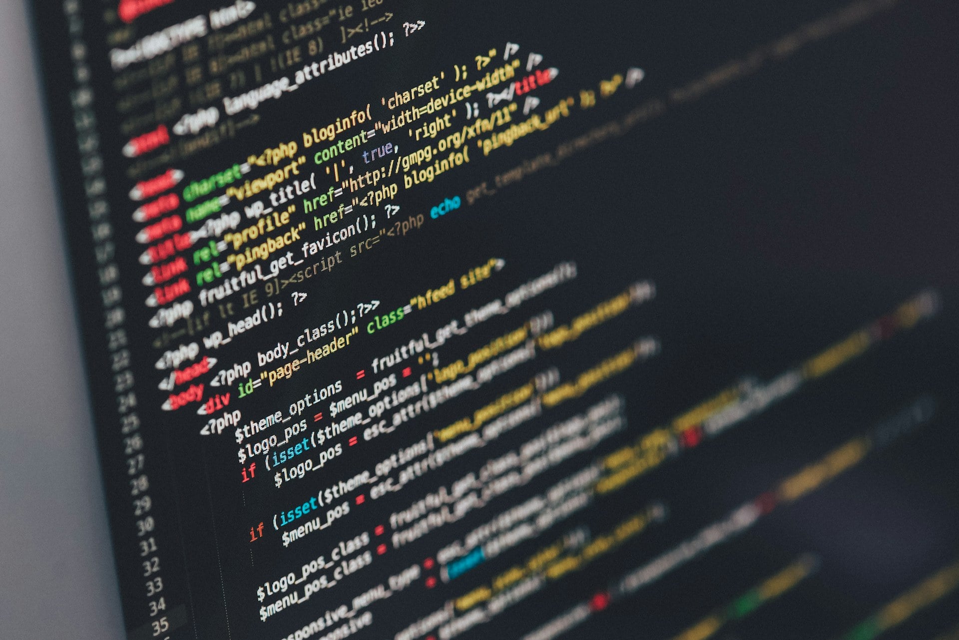 Software Developer Bootcamp Roadmap