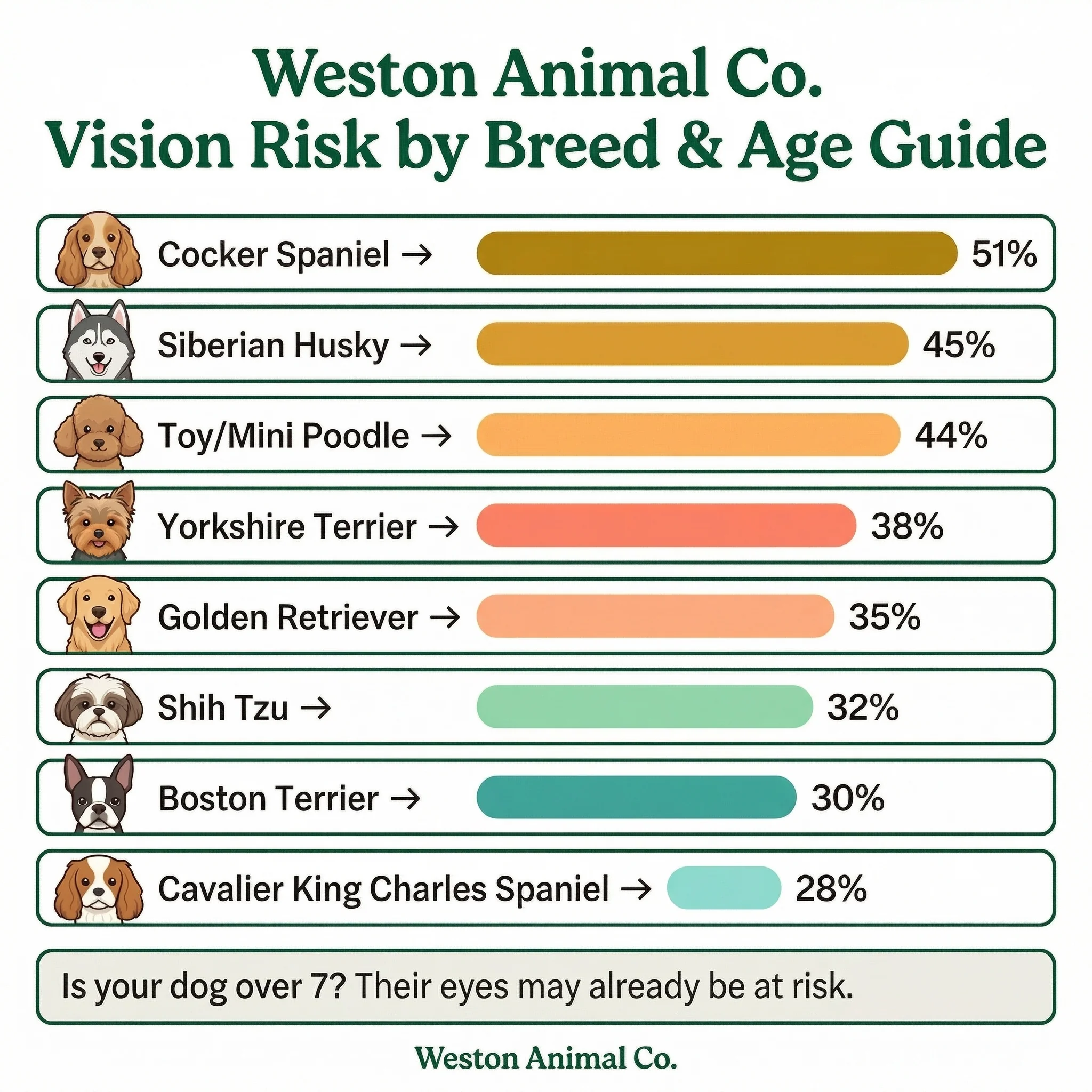 Daily Vision Support for Senior Dogs — image 4 of 8