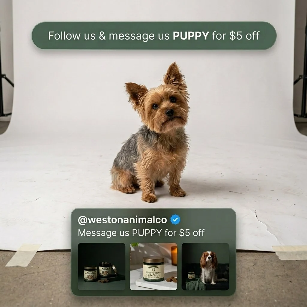 Airway Support Soft Chews for Small Breeds — image 8 of 8