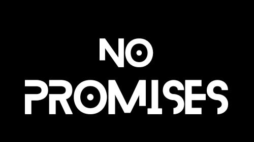 NoPromises Academy