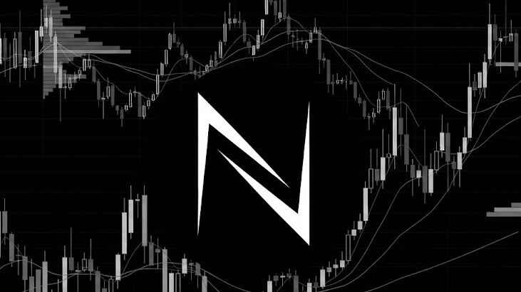 NEXUS Mentorship 1-1
