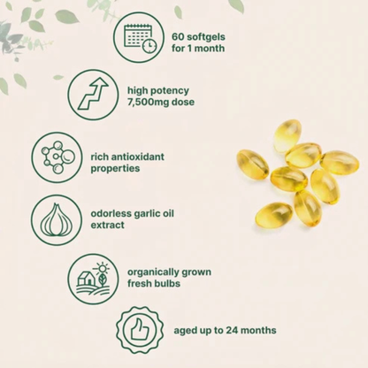 EverWell® Aged Garlic Extract - 7500mg Odorless Softgels