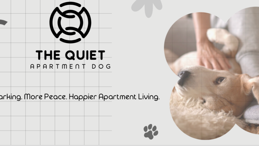 The Quiet Apartment Dog 