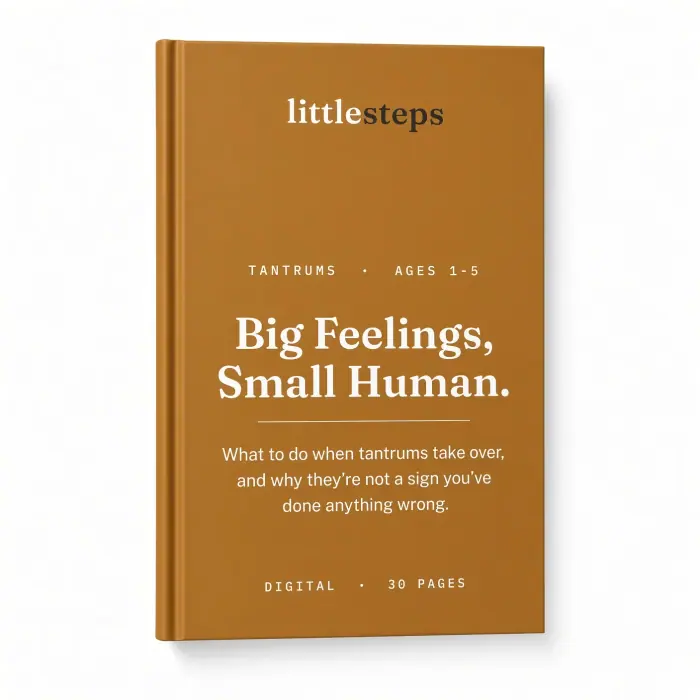 Big Feelings, Small Human - What to do when tantrums take over and why they're not a sign you've done anything wrong. — view 2