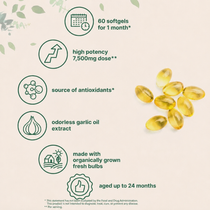 EverWell® Aged Garlic Extract - 7500mg Odorless Softgels