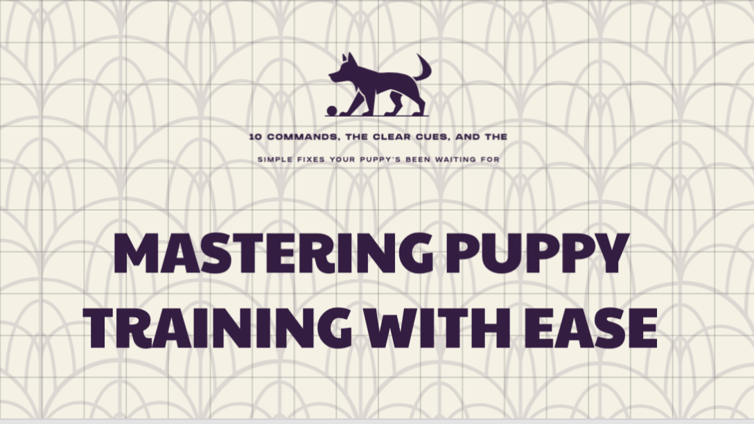 Struggling to Get Your Puppy to Listen? 10 Commands for Real-Life Manners