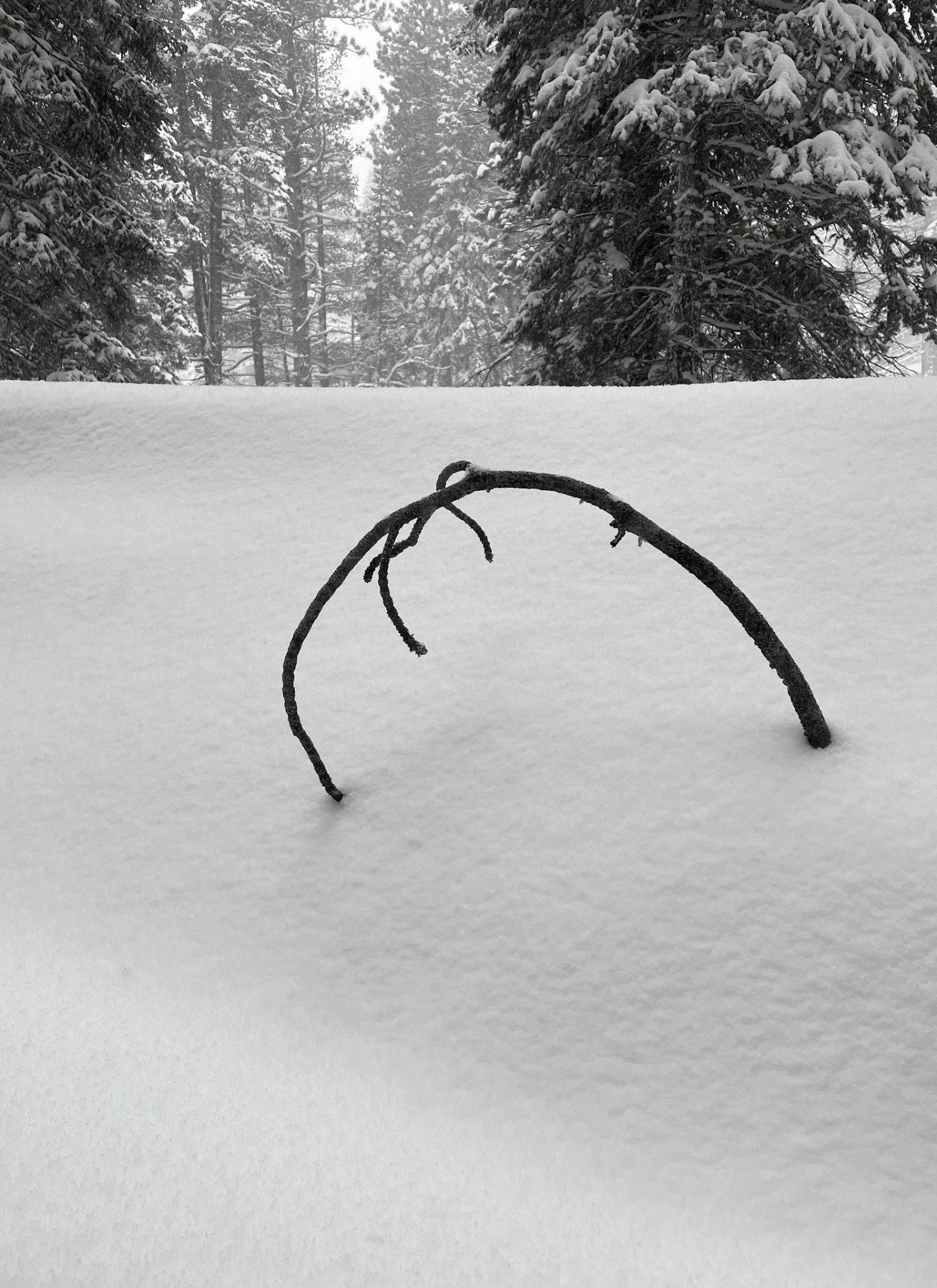 Snow arch