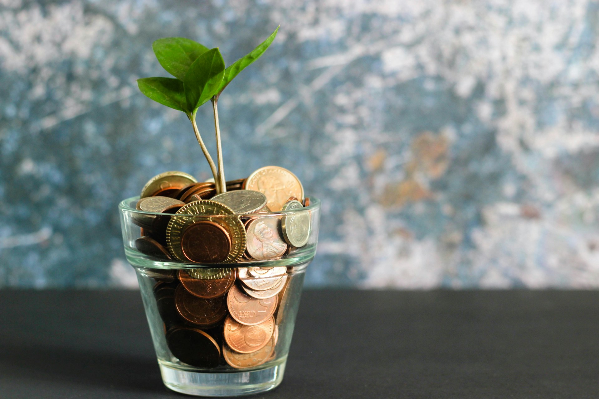 Why Most People Never Build Wealth