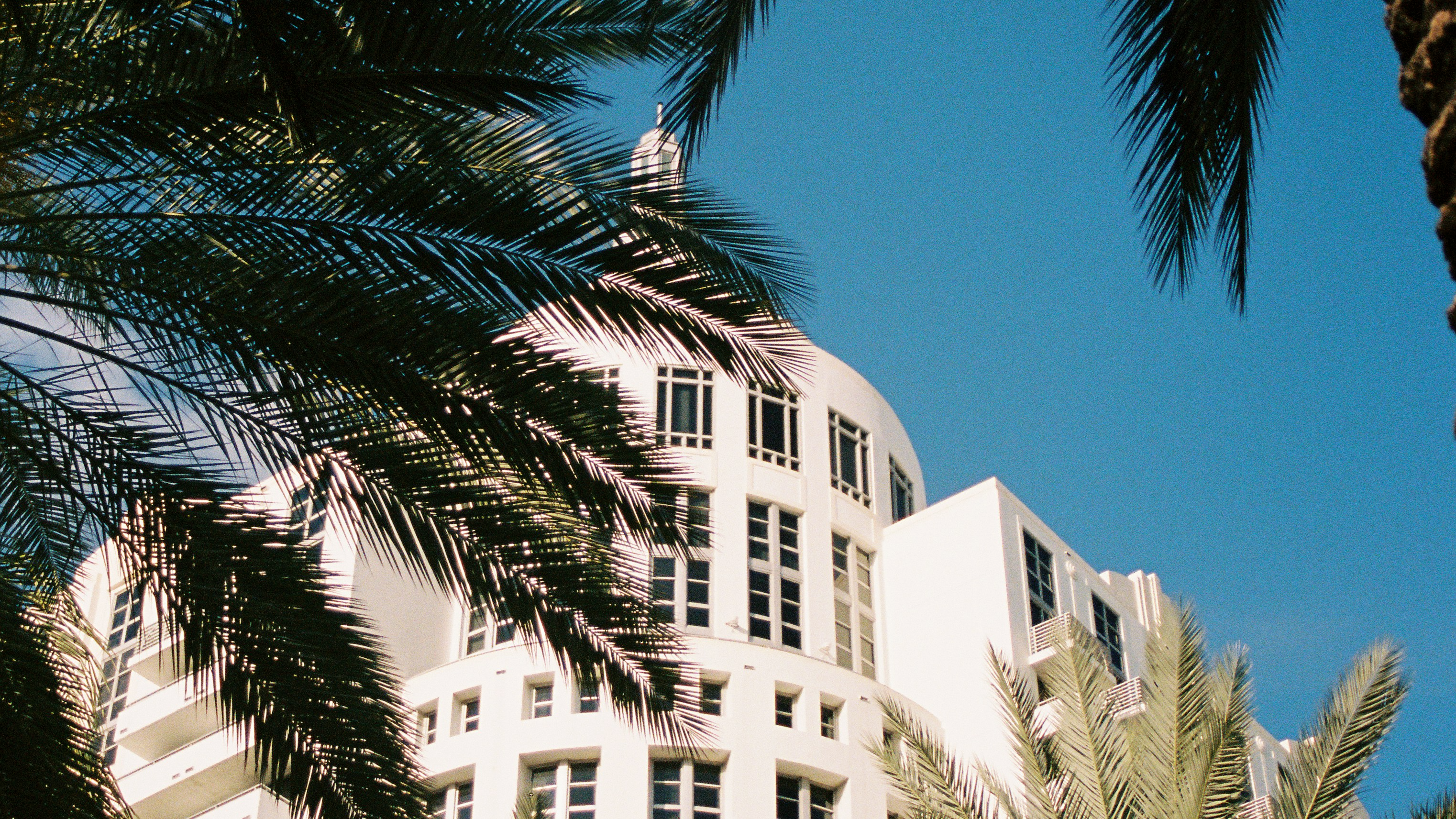 Florida LLC Guide