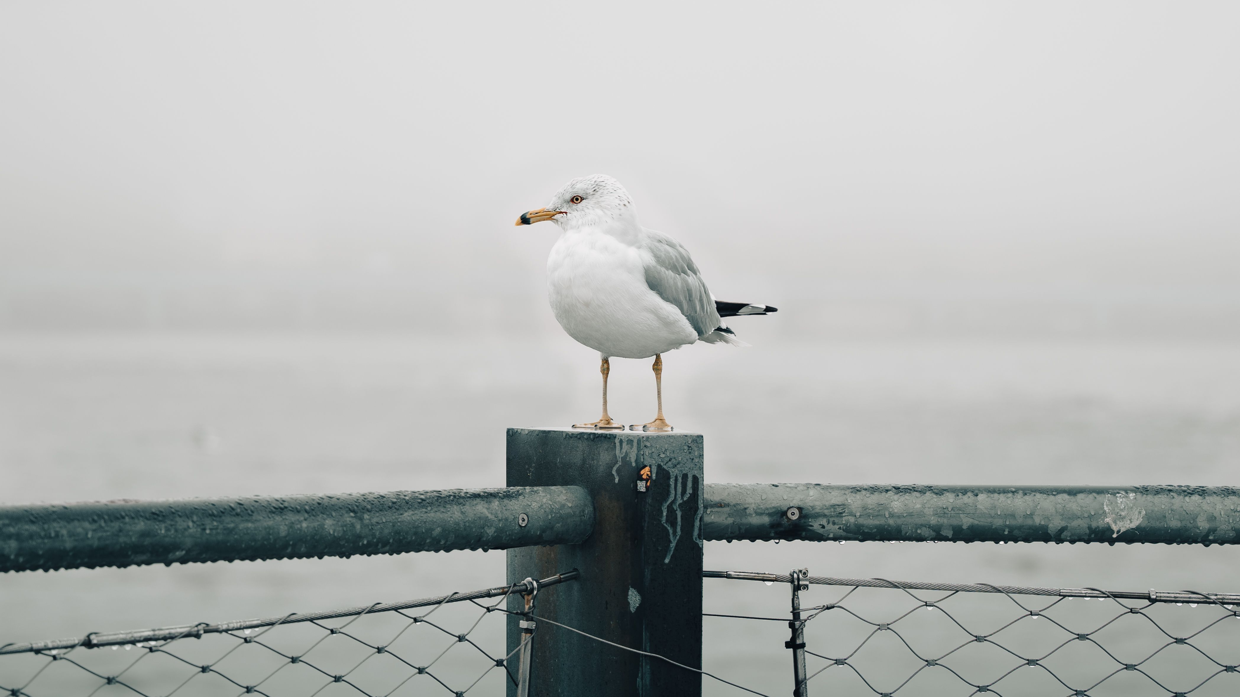 New Jersey LLC Guide